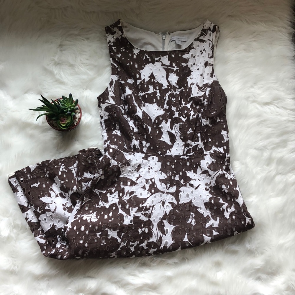 NY&Co. brown and white lace dress 0